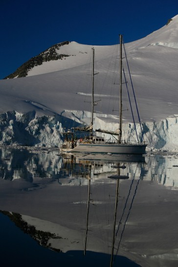 Antartica 2014
